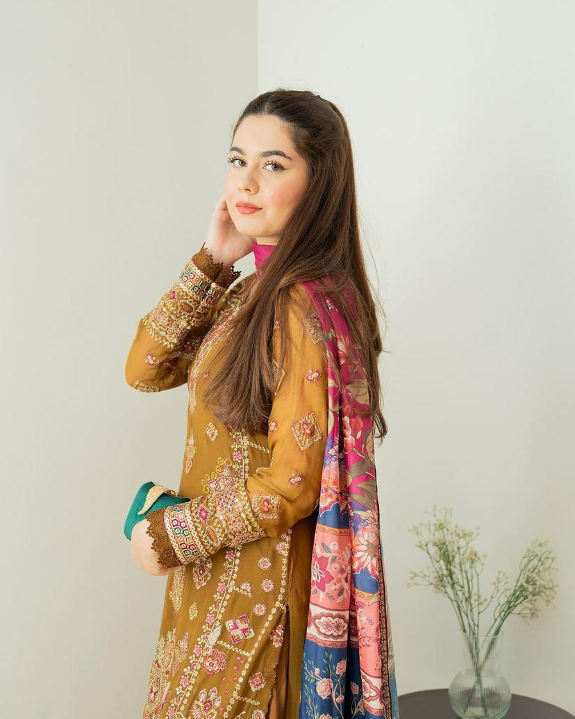 Fox Georgette With Embroidery Sequence Work